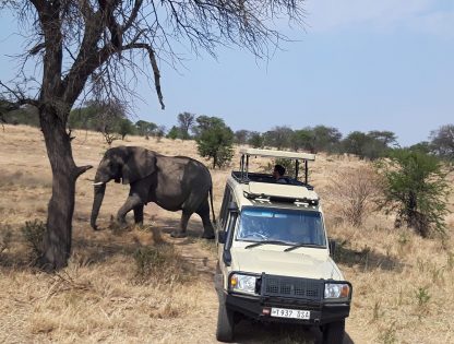 3 Day Murchison falls national park