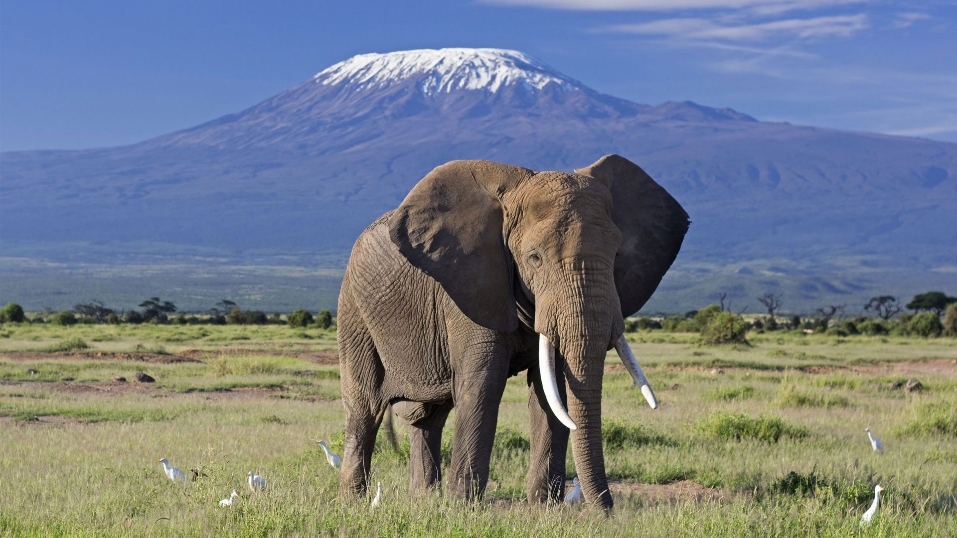 3 Day Safari to Amboseli National Park