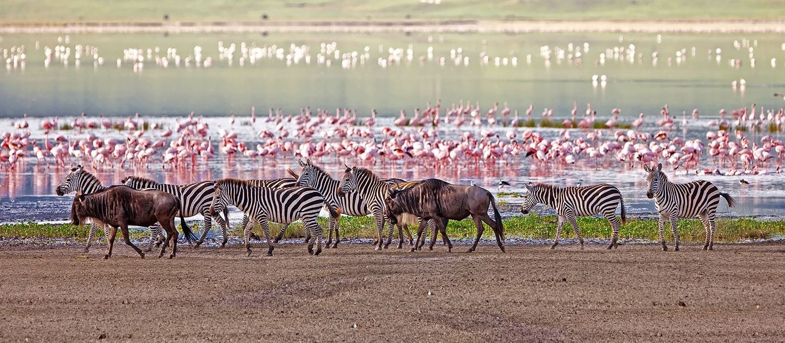 8 Day Magic of Tanzania Safari Adventure.