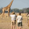 6 Day African Game and Walking Safari Tour