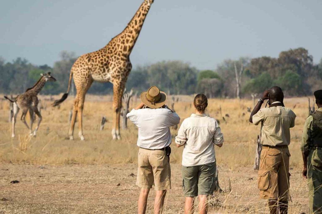 6 Day African Game and Walking Safari Tour
