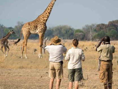 6 Day African Game and Walking Safari Tour