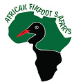 AFRICAN FINFOOT SAFARIS